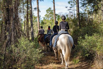 Horseback riding
