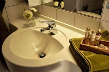 Bathroom sink