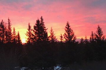 Mountain view