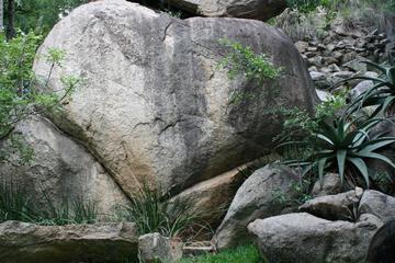 Photo 49