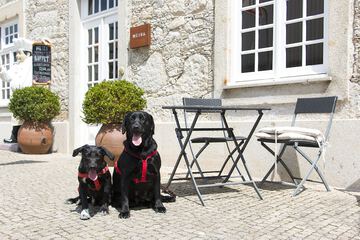 Pet-friendly