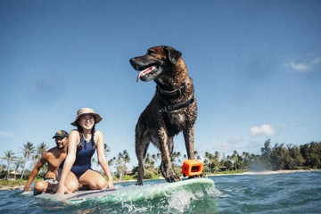 Surfing/boogie boarding