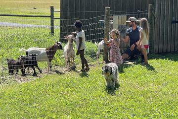 Children's activities