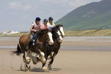 Horseback riding
