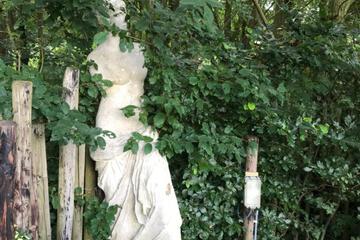 Photo 41