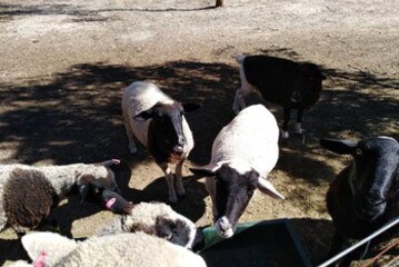 Children’s Activities