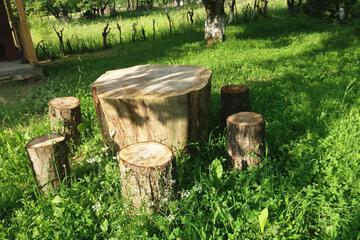 Photo 24