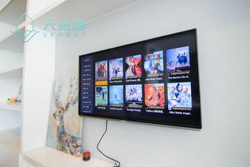 Television