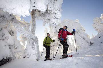 Snowshoeing