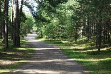 Photo 39