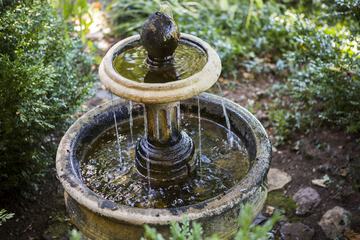 Property Grounds 31 of 31