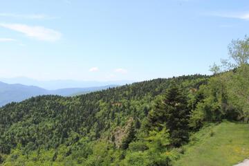 Photo 36