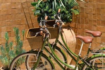 Bicycling
