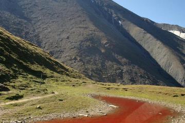 Photo 30