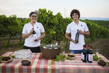 Winery