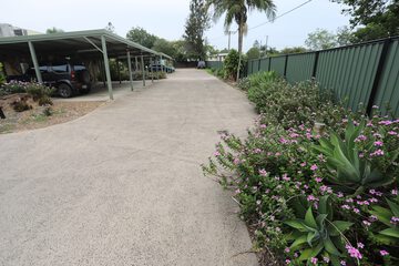 Garden view