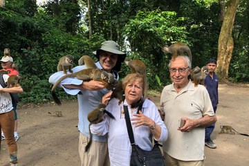 Game viewing