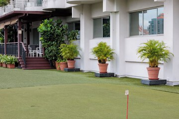Mini-golf