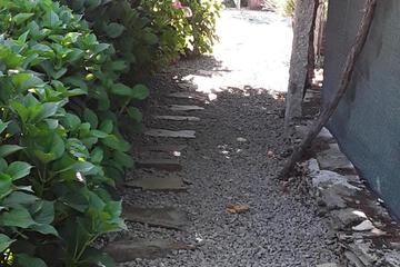 Photo 66