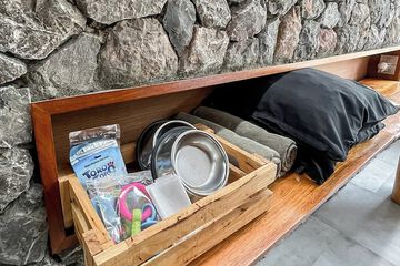 Pet-friendly amenities