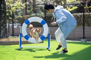 Pet-friendly amenities