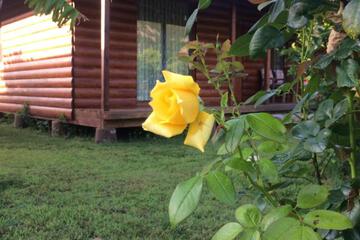 Photo 31