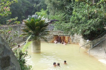 Natural pool