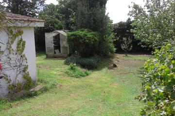 Photo 56