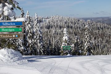 Snow and ski sports