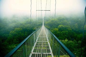Photo 50