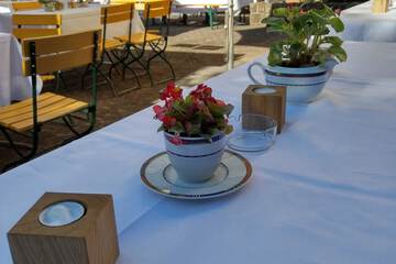 Outdoor wedding area