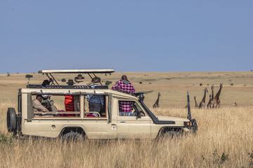 Game drive