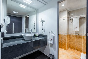 Bathroom sink