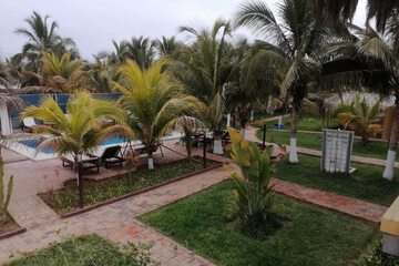 Garden view