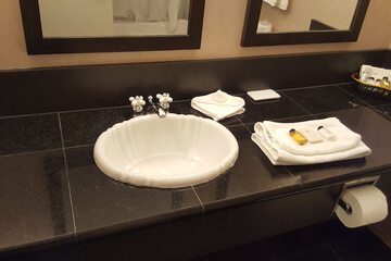 Bathroom sink