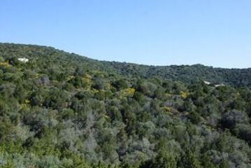View from Hotel