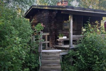 Photo 7
