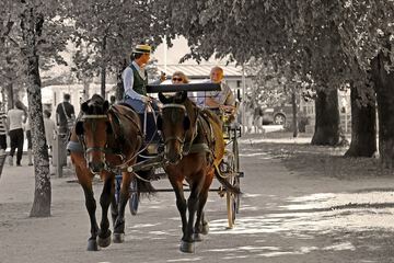 Horseback riding