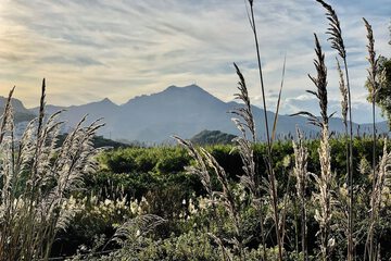 Hiking