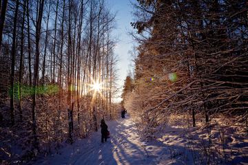 Sledding