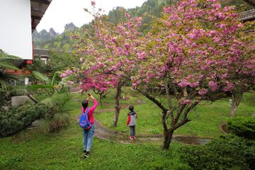 Children's activities