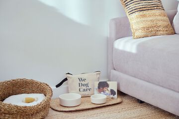 Pet-friendly amenities
