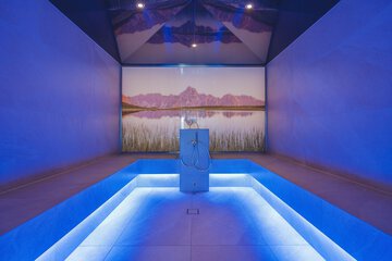 Steam room