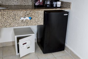 Mini-refrigerator