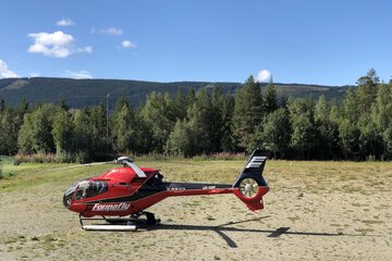 Helicopter/plane tours