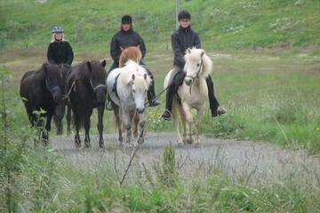 Horseback riding