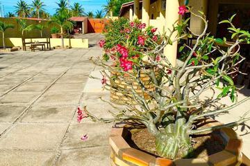 Courtyard view