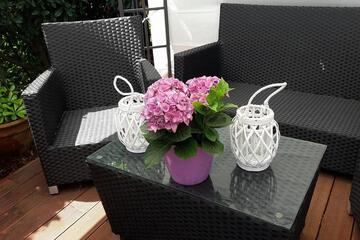 Photo 77