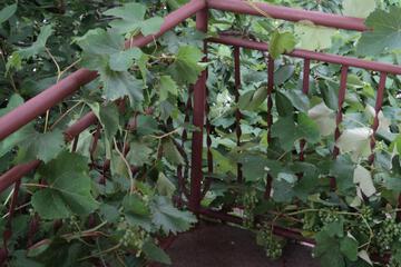 Photo 34