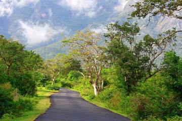 Ecotours